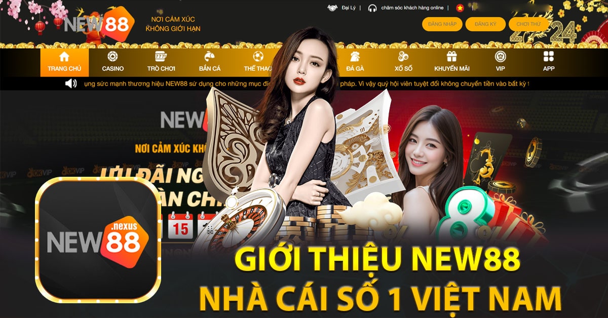 Giới thiệu New88 nhà cái số 1 Việt Nam