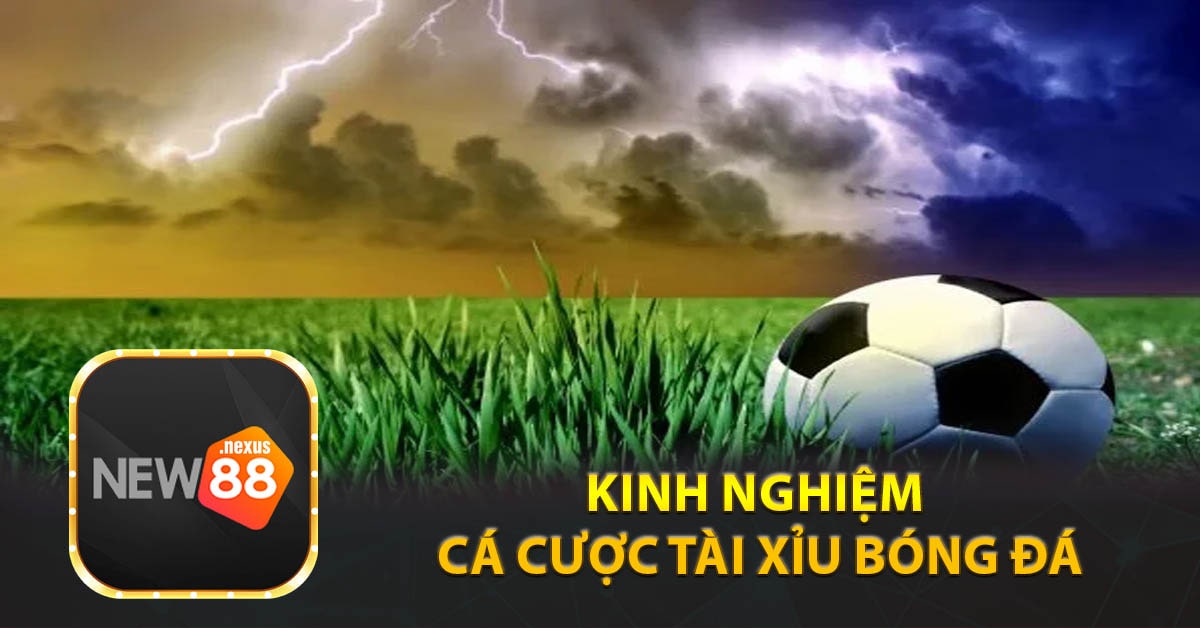 Kinh nghiệm Cá Cược Tài Xỉu bóng đá