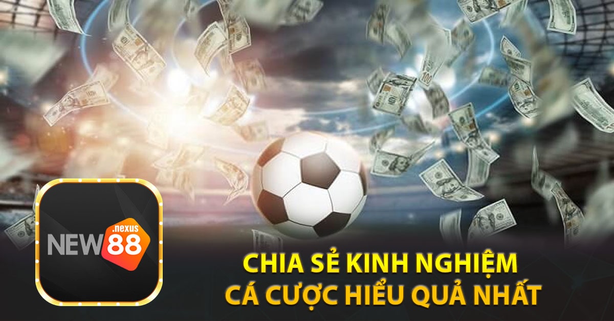 Chia sẻ kinh nghiệm cá cược hiểu quả nhất