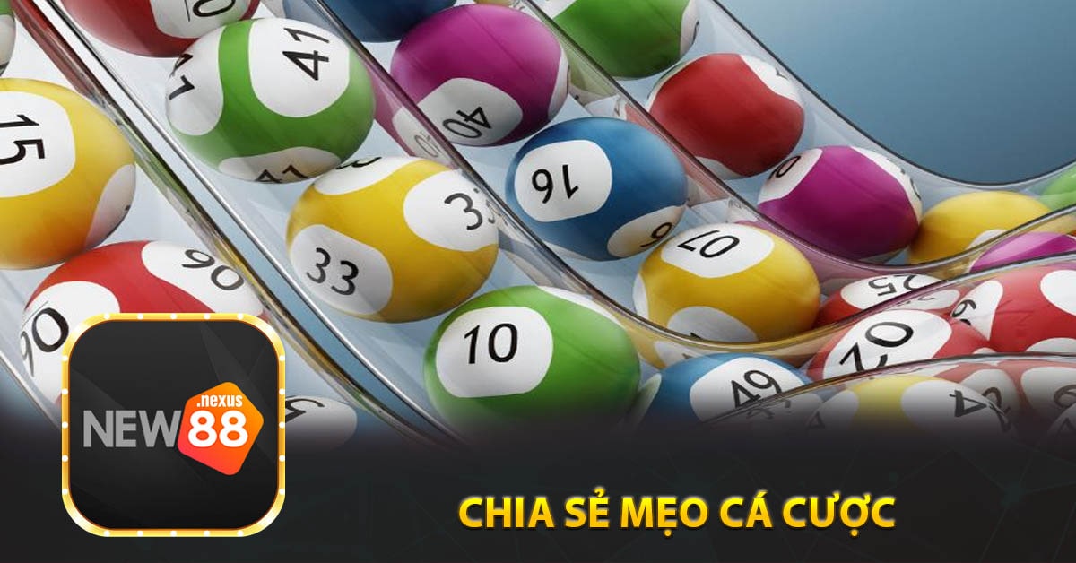 Chia sẻ Mẹo Cá Cược