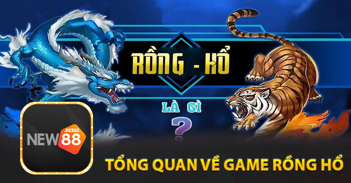 Tổng quan về game rồng hổ