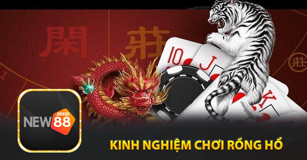 Kinh nghiệm chơi rồng hổ cược đâu thắng đó